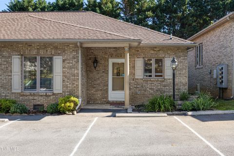 Photo of 176 Austin Springs Road #4, Johnson City, TN 37601 (MLS # 9995331)