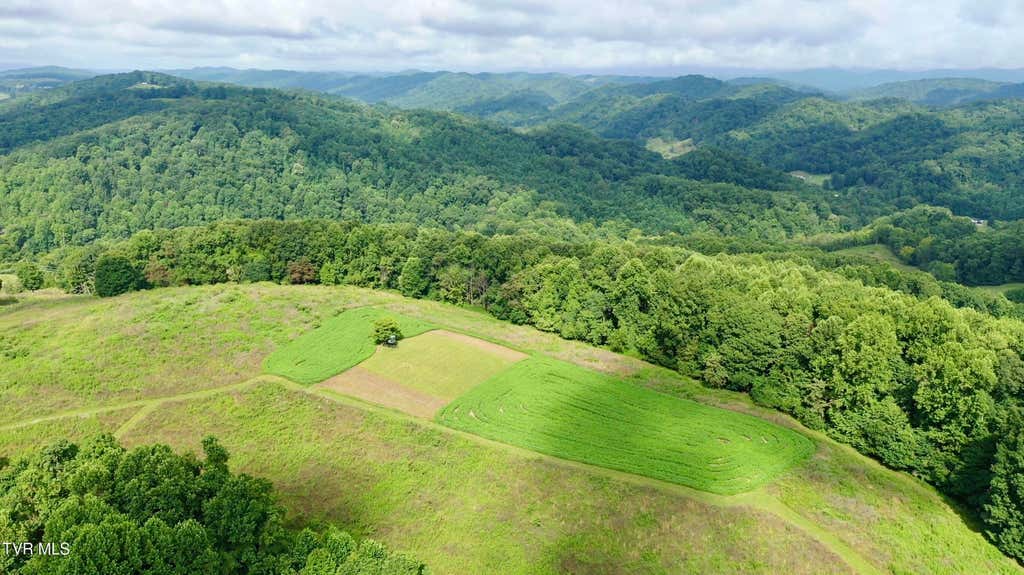 Photo of 4040 Highway 70, Eidson, TN 37731 (MLS # 9999345)