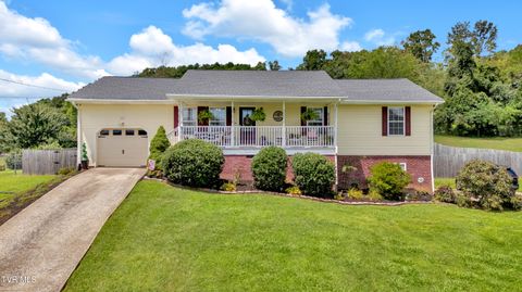 Photo of 1109 Greenlee Drive, Jonesborough, TN 37659 (MLS # 9990239)
