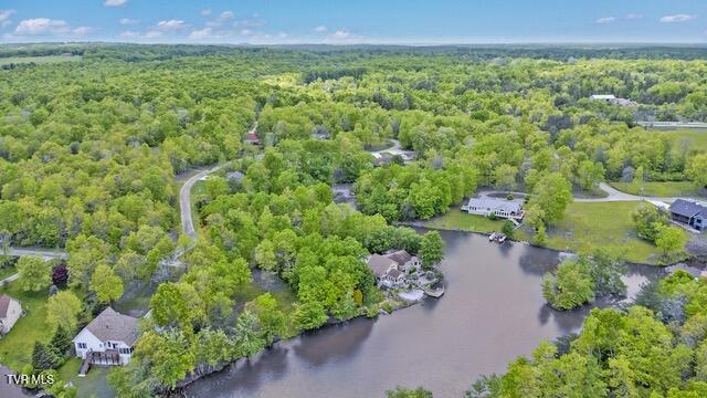 4058 Lone Wolf Circle, Crossville, Tennessee image 6