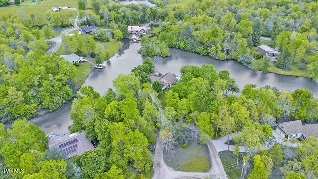 4058 Lone Wolf Circle, Crossville, Tennessee image 5