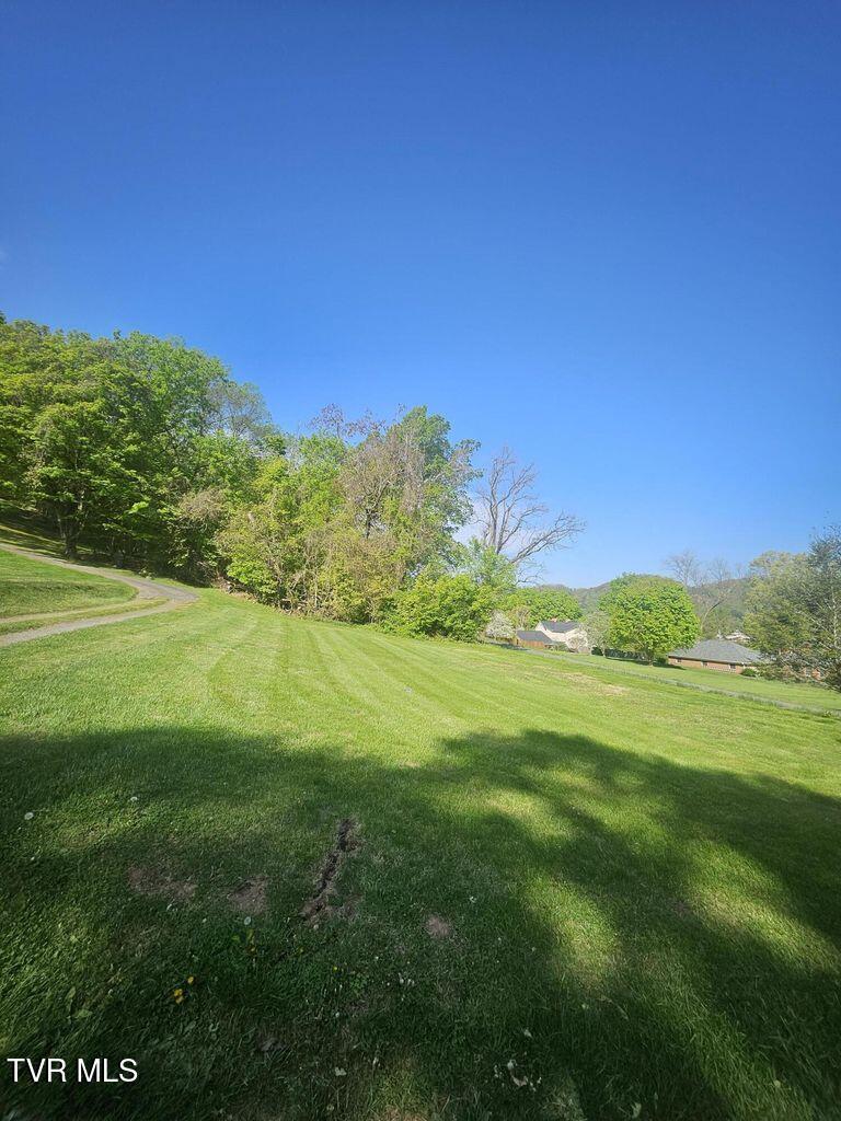 00 College East Street, Rogersville, Tennessee image 3