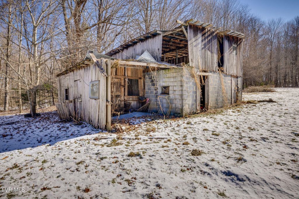 Photo of 140 Doe Lane, Roan Mountain, TN 37687 (MLS # 9990885)