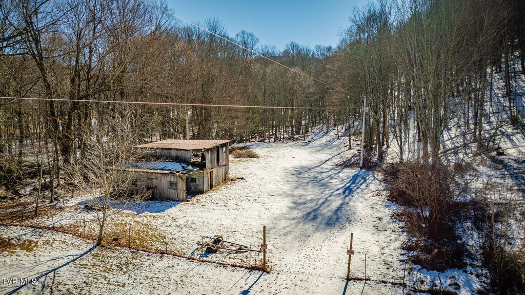 Photo of 140 Doe Lane, Roan Mountain, TN 37687 (MLS # 9990885)