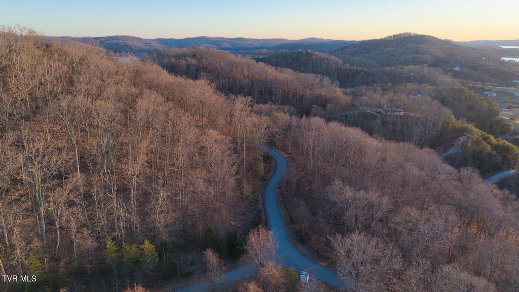 Photo of 339 Eagle Court, Sharps Chapel, TN 37866 (MLS # 9991871)