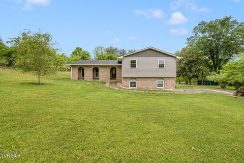 Photo of 780 Dry Branch Road, Bluff City, TN 37618 (MLS # 9994822)