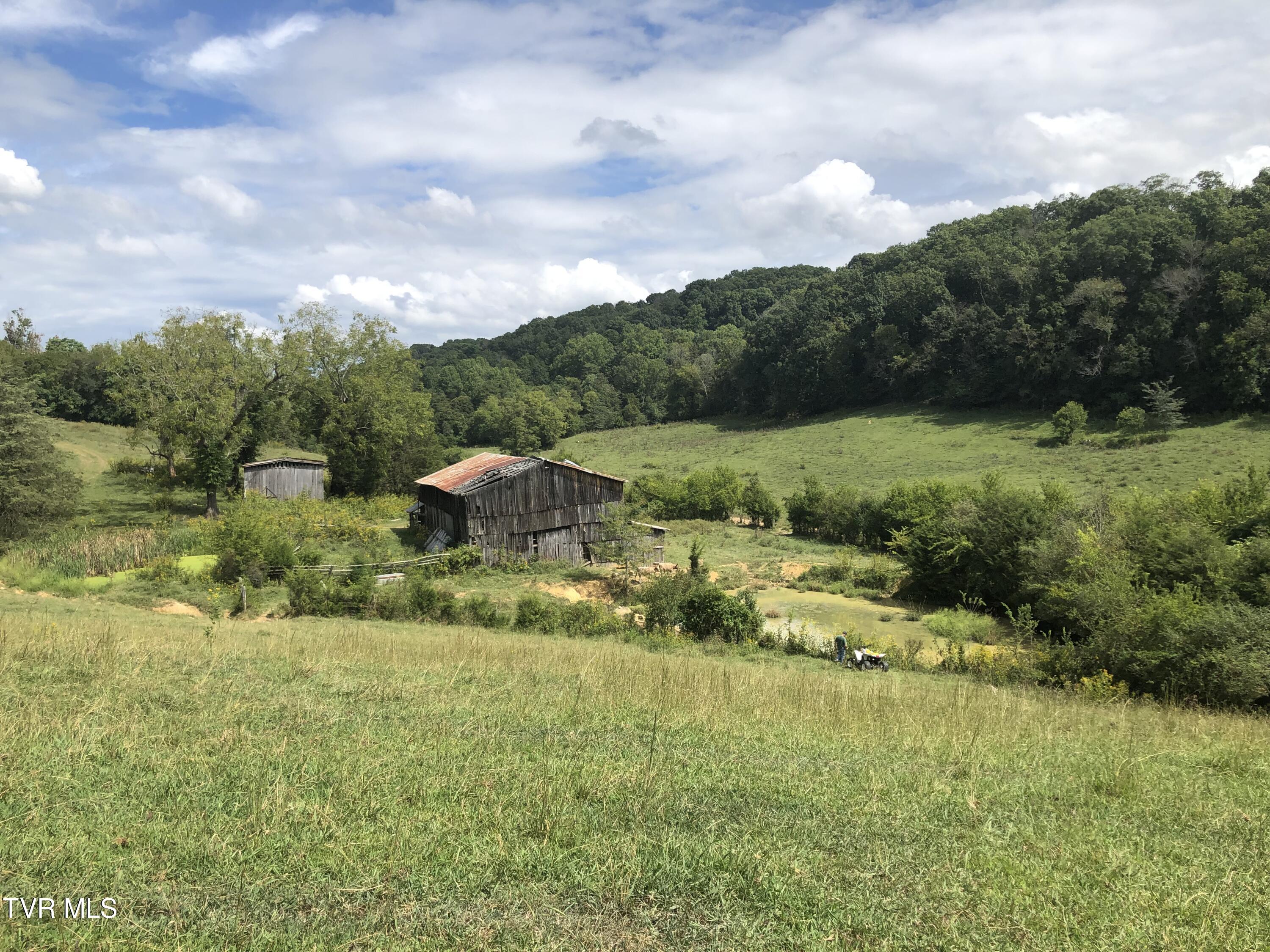 000 Saults Road, Telford, Tennessee image 6