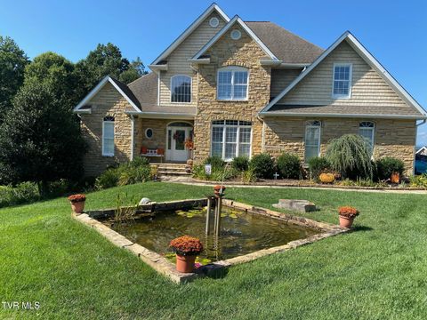 Photo of 1003 Cliffview Drive, Gray, TN 37615 (MLS # 9993393)