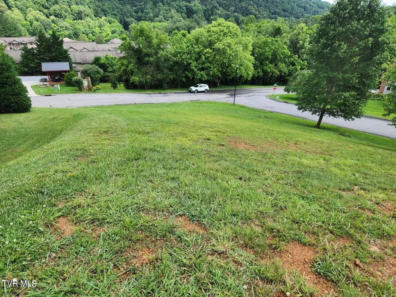 Tbd Silver Court, Kingsport, Tennessee image 9