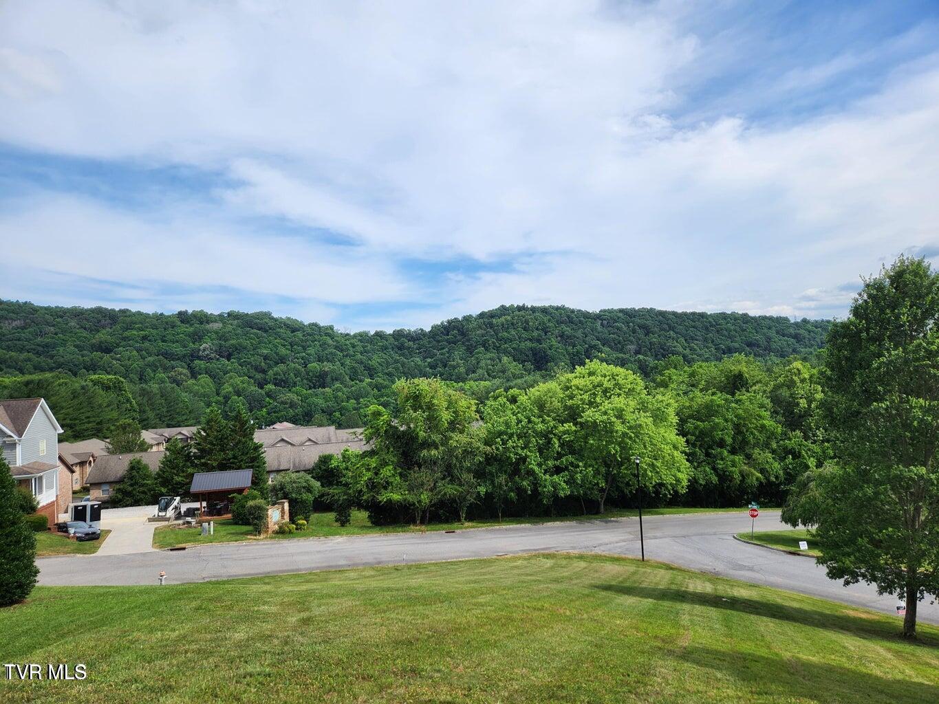Tbd Silver Court, Kingsport, Tennessee image 12