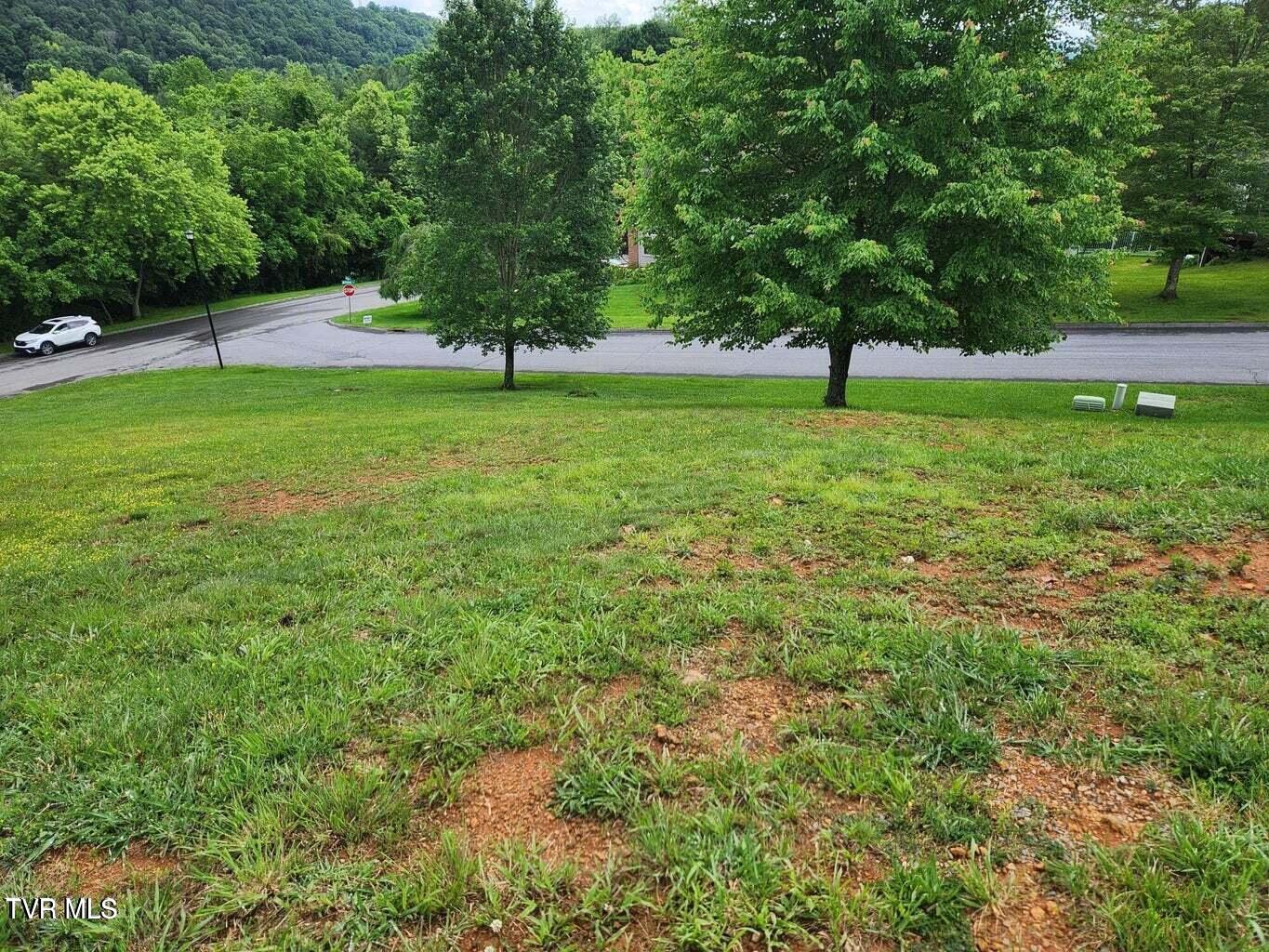 Tbd Silver Court, Kingsport, Tennessee image 8