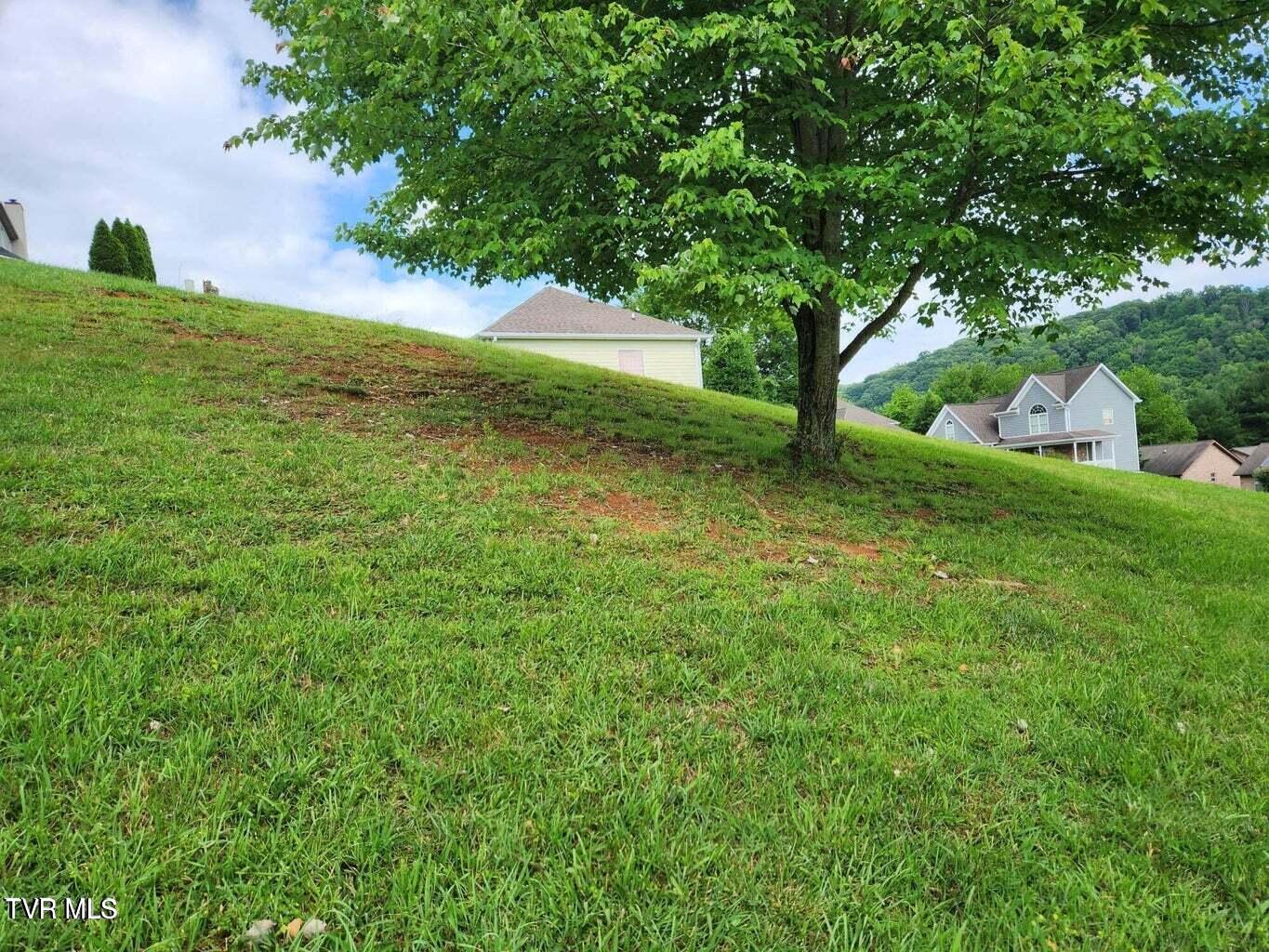 Tbd Silver Court, Kingsport, Tennessee image 6