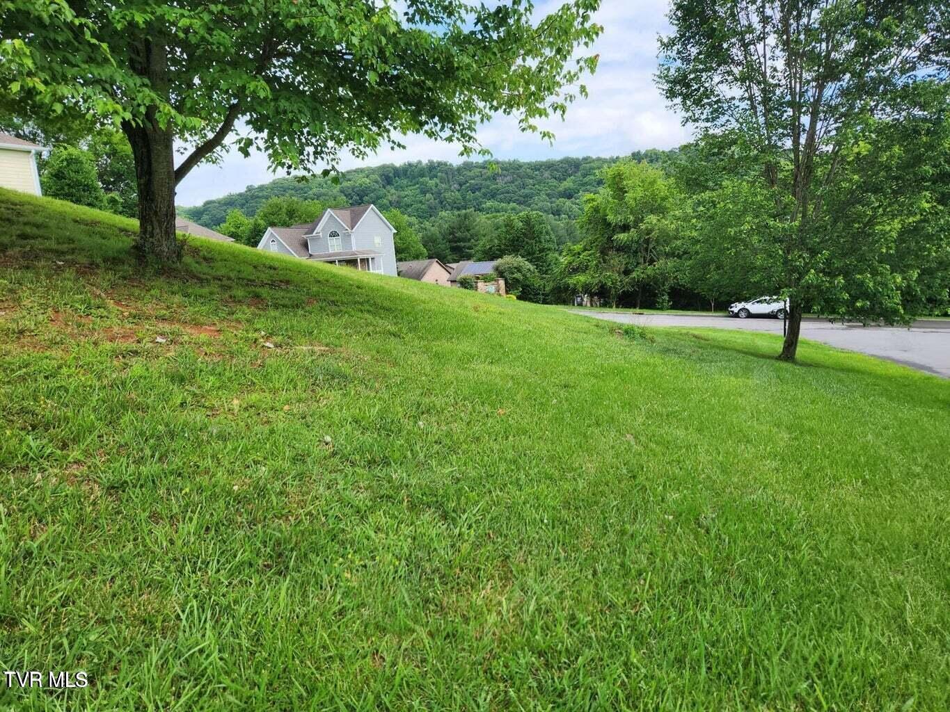 Tbd Silver Court, Kingsport, Tennessee image 5