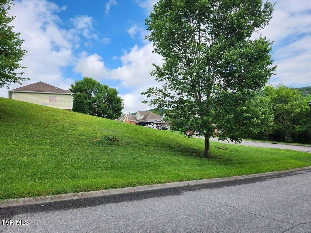 Photo of Tbd Silver Court, Kingsport, TN 37664 (MLS # 9978190)