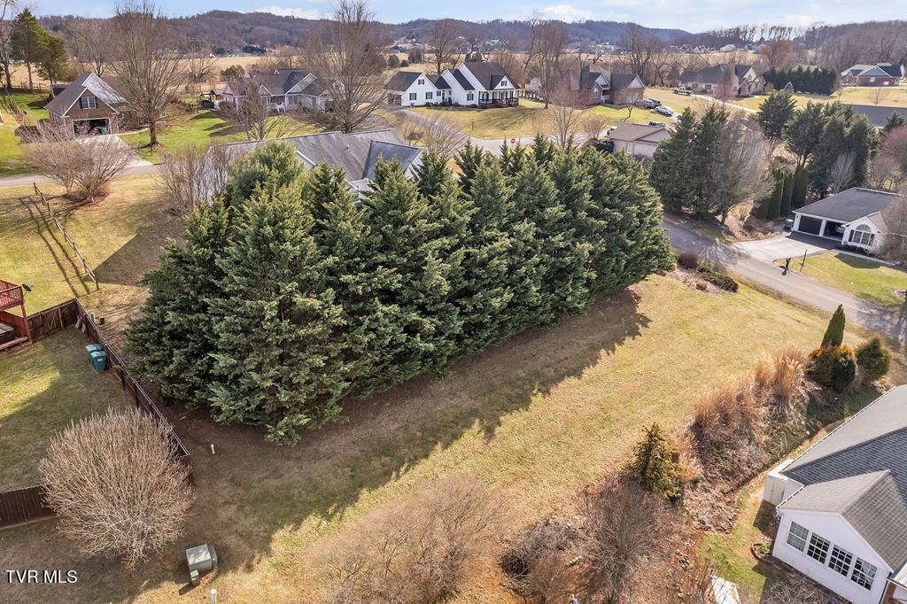 17995 Glenwood Drive, Abingdon, Virginia image 21
