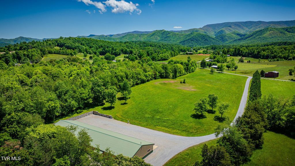 Photo of 705 Union Chapel Road, Afton, TN 37616 (MLS # 9995357)