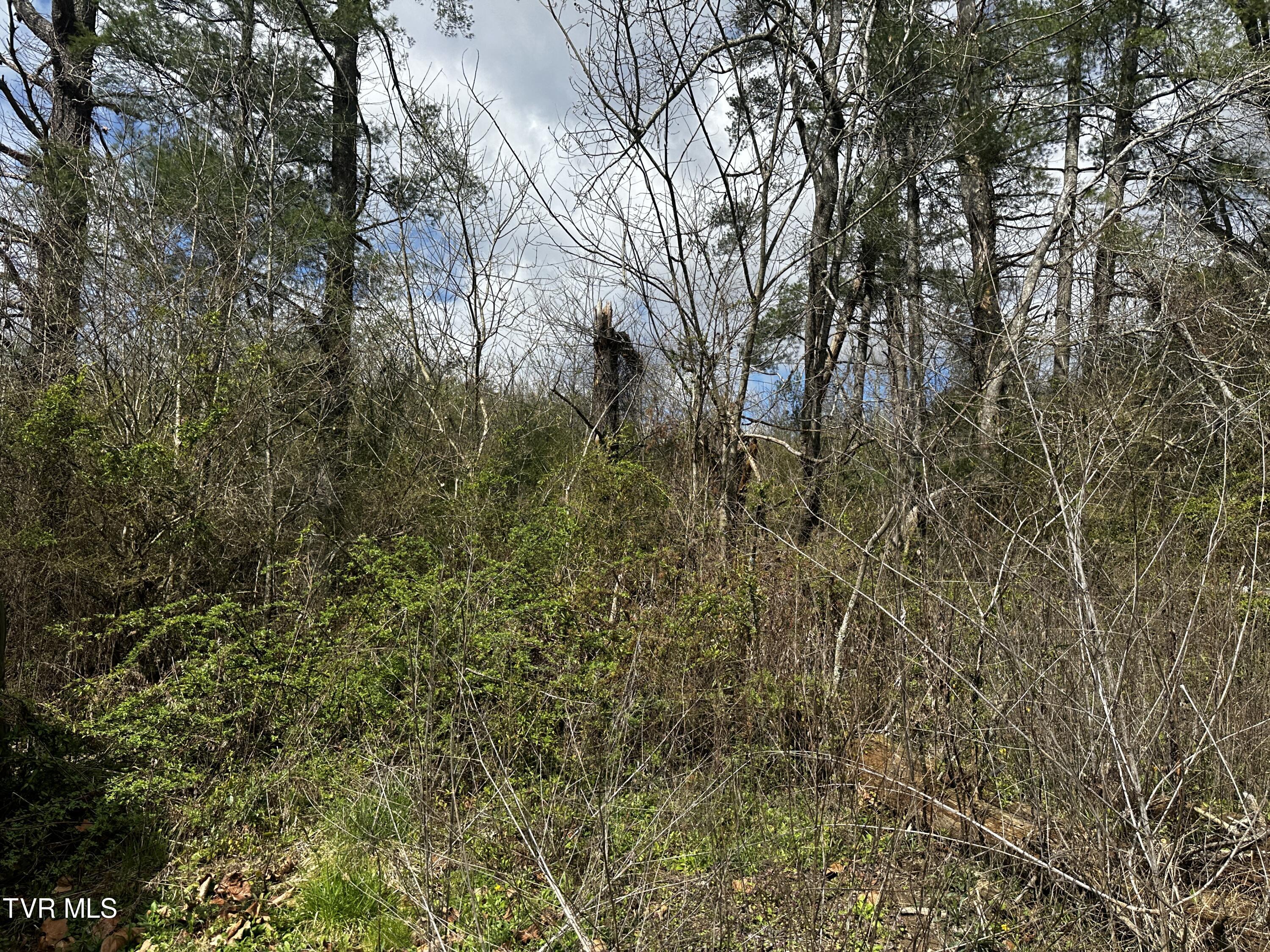 Tbd Us Hwy 23, Duffield, Virginia image 6