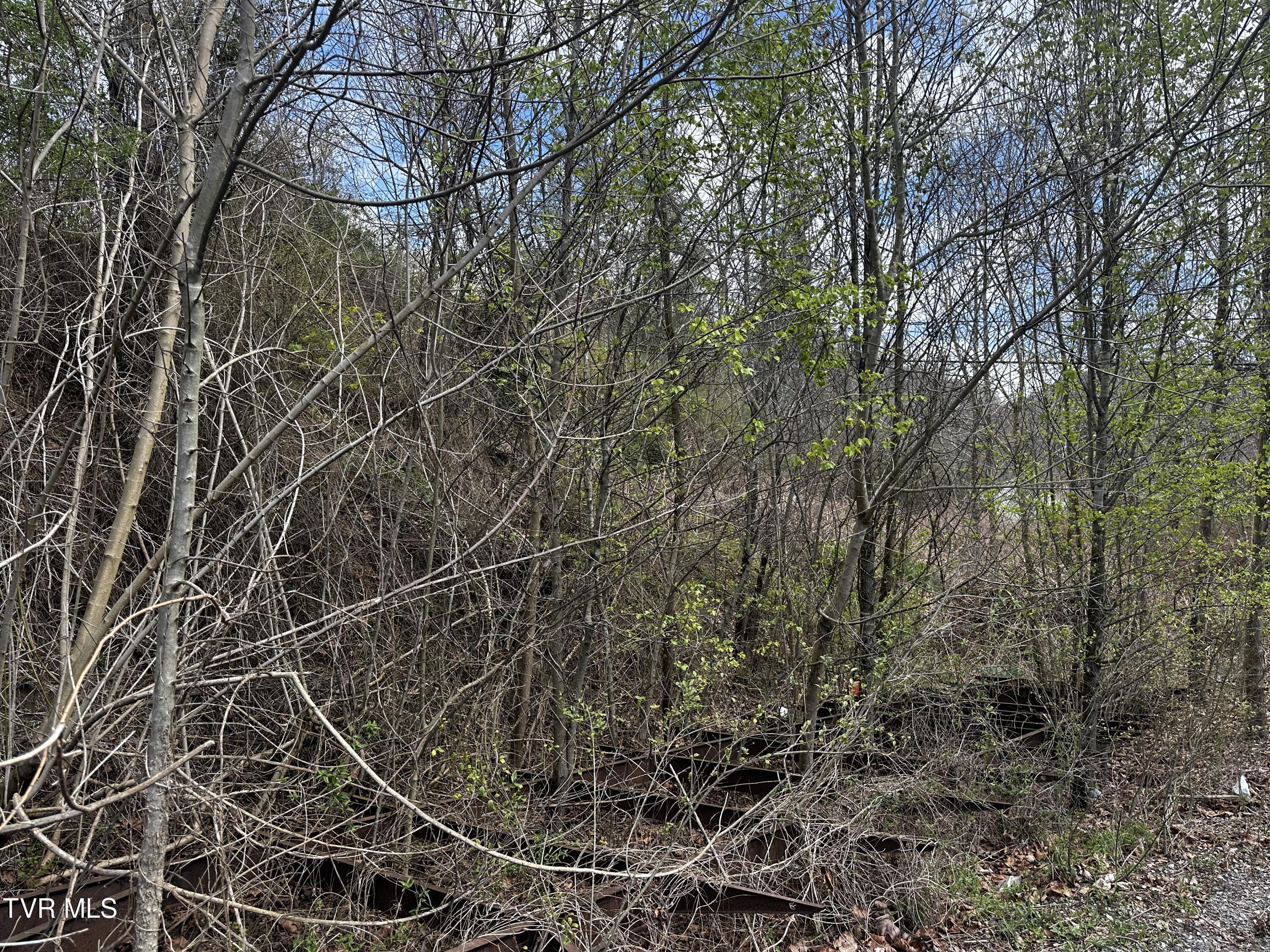 Tbd Us Hwy 23, Duffield, Virginia image 3
