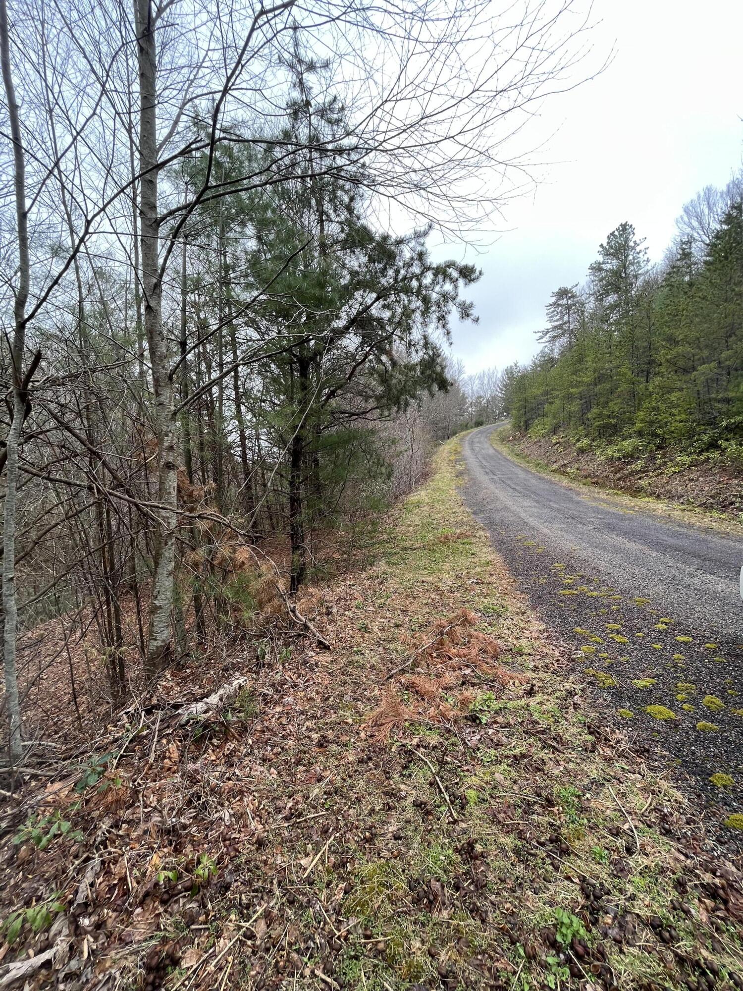 Tbd Locust Gap Road, Mountain City, Tennessee image 3