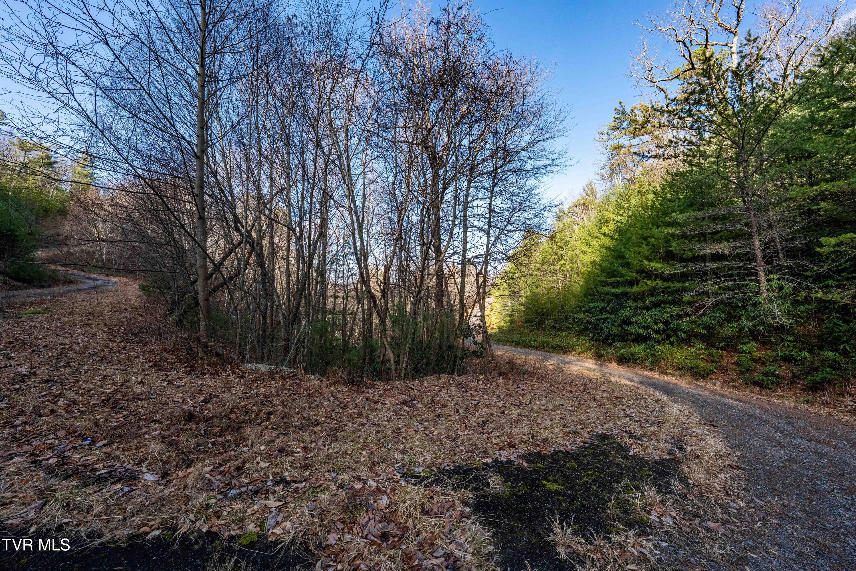 TBD Locust Gap Road (29 of 35)