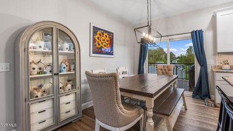 Tiny photo for 335 Bonne Vista Drive, White Pine, TN 37890 (MLS # 9978710)