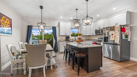 Tiny photo for 335 Bonne Vista Drive, White Pine, TN 37890 (MLS # 9978710)