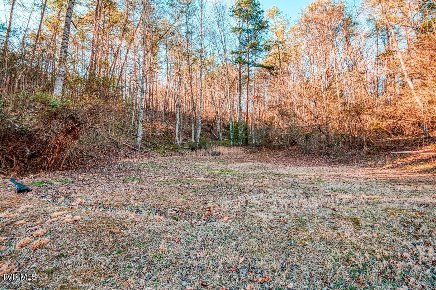 1437 Pressmens Home Road, Rogersville, Tennessee image 31