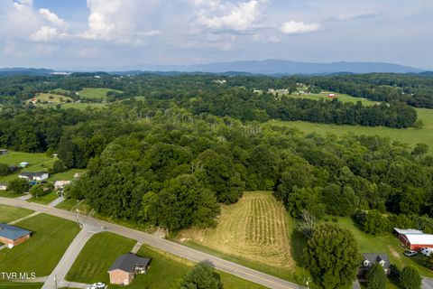 Vacant Land For Sale - 999 Muddy Creek Road<br/> Sullivan County County, Piney Flats, TN 37686