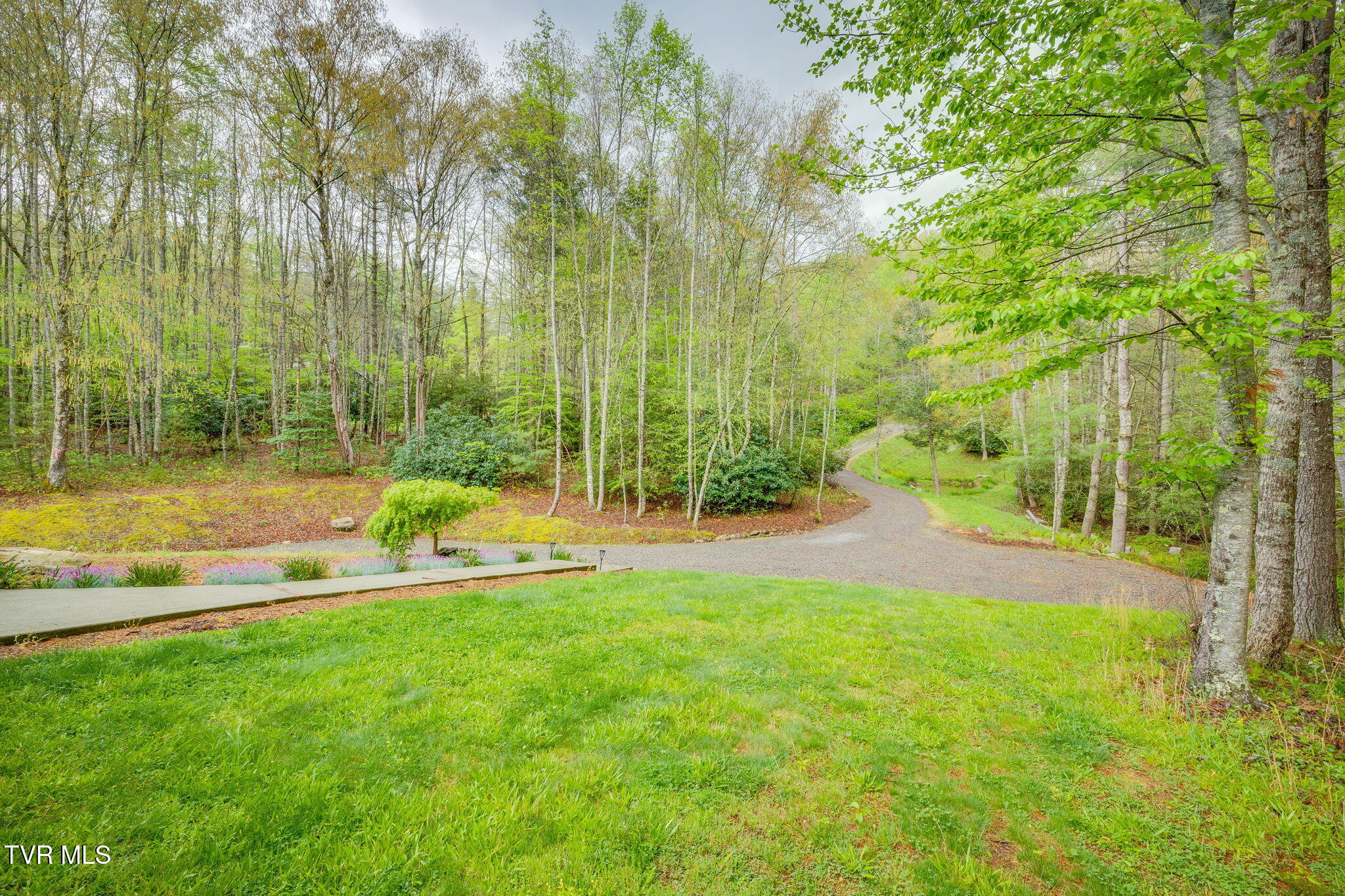 215 Myrtle Drive, Butler, Tennessee image 7