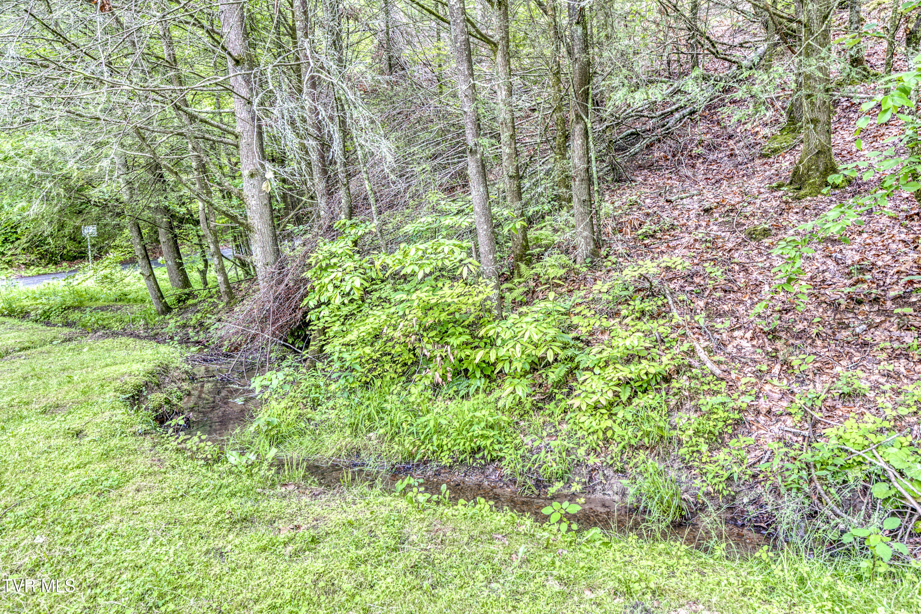 11030 College Drive, Meadowview, Virginia image 2
