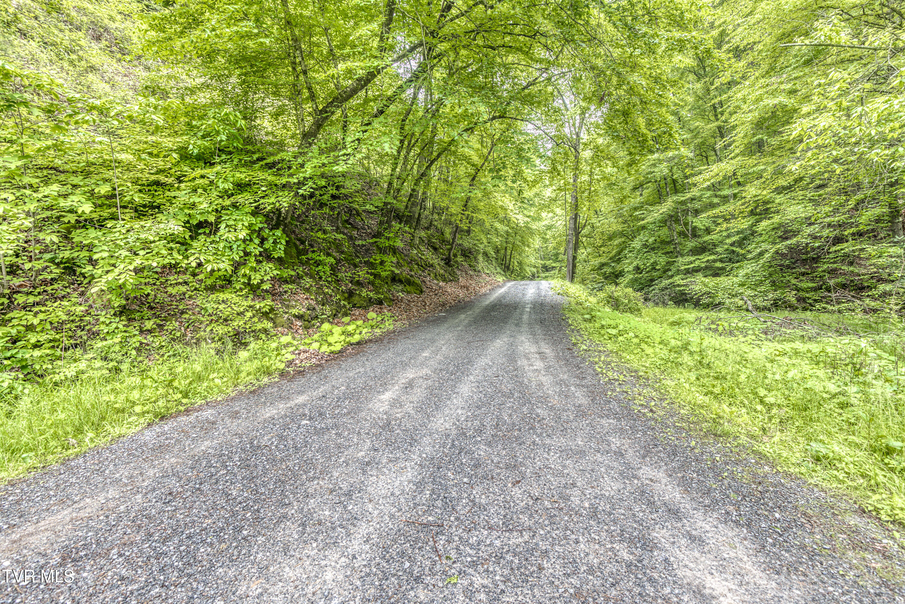 11030 College Drive, Meadowview, Virginia image 16