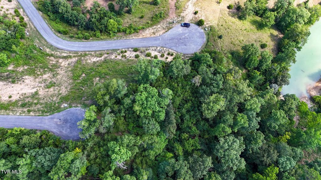 Photo of 9 Stone Cove Way, Dandridge, TN 37725 (MLS # 9998664)