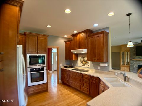 Tiny photo for 287 Saylor Hill Road Rd, Limestone, TN 37681 (MLS # 9986430)