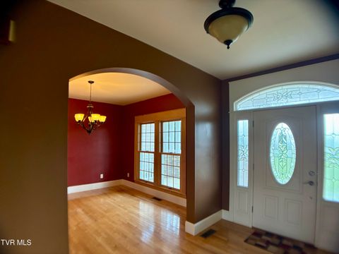 Tiny photo for 287 Saylor Hill Road Rd, Limestone, TN 37681 (MLS # 9986430)