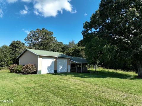 Tiny photo for 287 Saylor Hill Road Rd, Limestone, TN 37681 (MLS # 9986430)