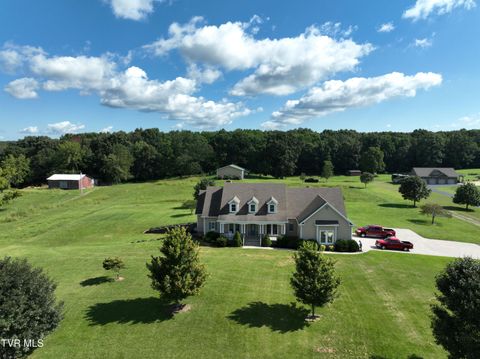 Tiny photo for 287 Saylor Hill Road Rd, Limestone, TN 37681 (MLS # 9986430)