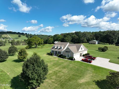 Tiny photo for 287 Saylor Hill Road Rd, Limestone, TN 37681 (MLS # 9986430)