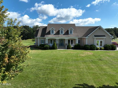 Tiny photo for 287 Saylor Hill Road Rd, Limestone, TN 37681 (MLS # 9986430)