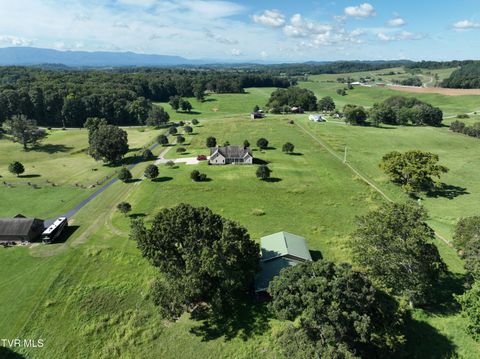 Tiny photo for 287 Saylor Hill Road Rd, Limestone, TN 37681 (MLS # 9986430)
