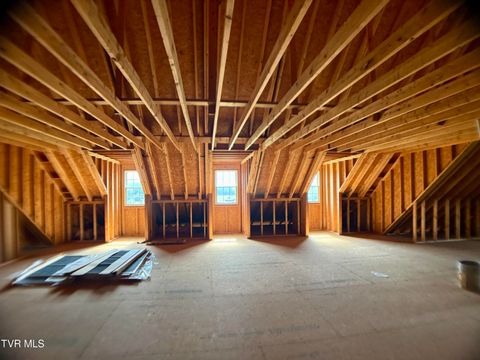 Tiny photo for 287 Saylor Hill Road Rd, Limestone, TN 37681 (MLS # 9986430)