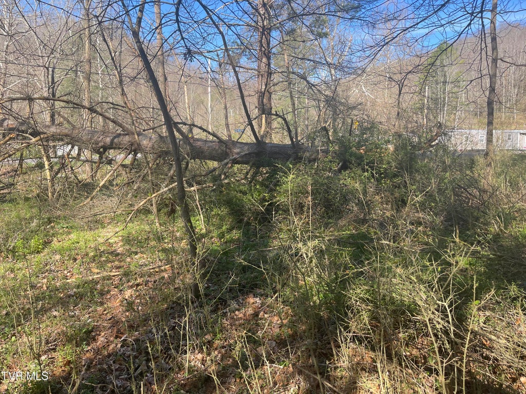 Photo of Tbd Drill Road, Honaker, VA 24260 (MLS # 9984060)