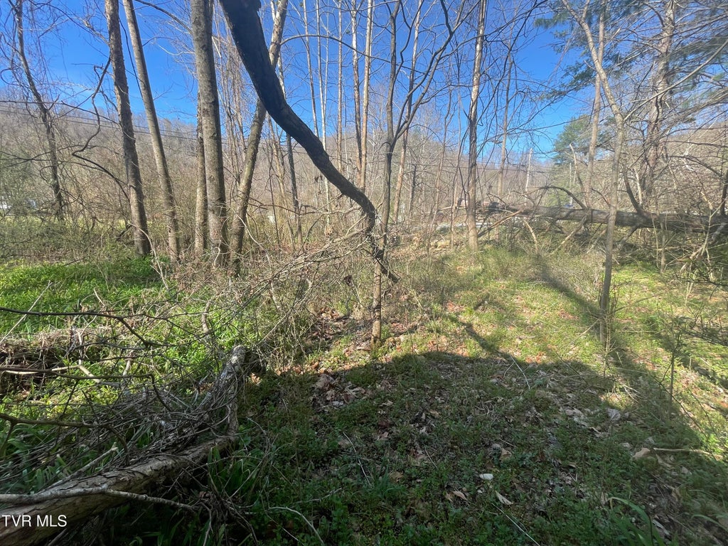 Photo of Tbd Drill Road, Honaker, VA 24260 (MLS # 9984060)