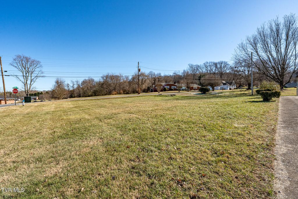 Photo of 203 Pawnee Street, Johnson City, TN 37604 (MLS # 9988896)