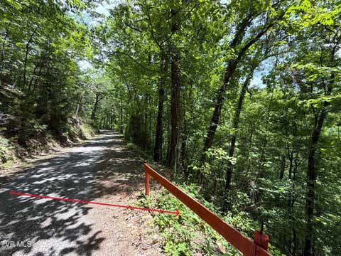 Vacant Land For Sale - LOT 23 Aintree Drive #23<br/> Sevierville, TN 37876