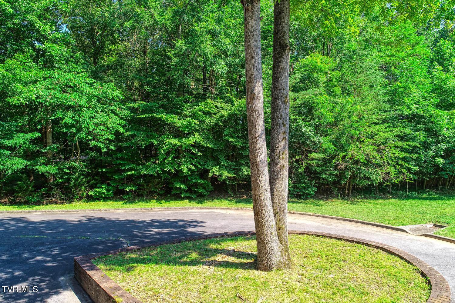 Lot 69 Brooks Pointe Drive, Rogersville, Tennessee image 12