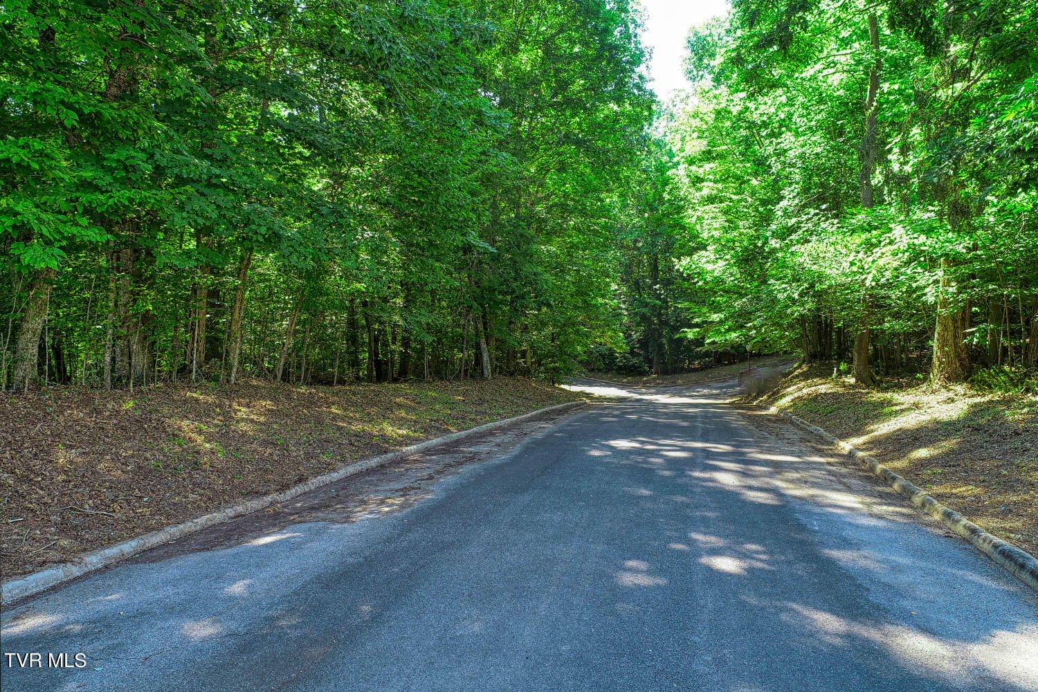 Lot 69 Brooks Pointe Drive, Rogersville, Tennessee image 39