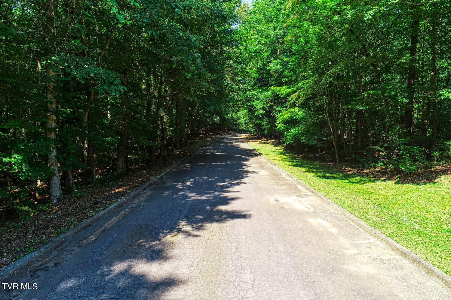 Lot 69 Brooks Pointe Drive, Rogersville, Tennessee image 32