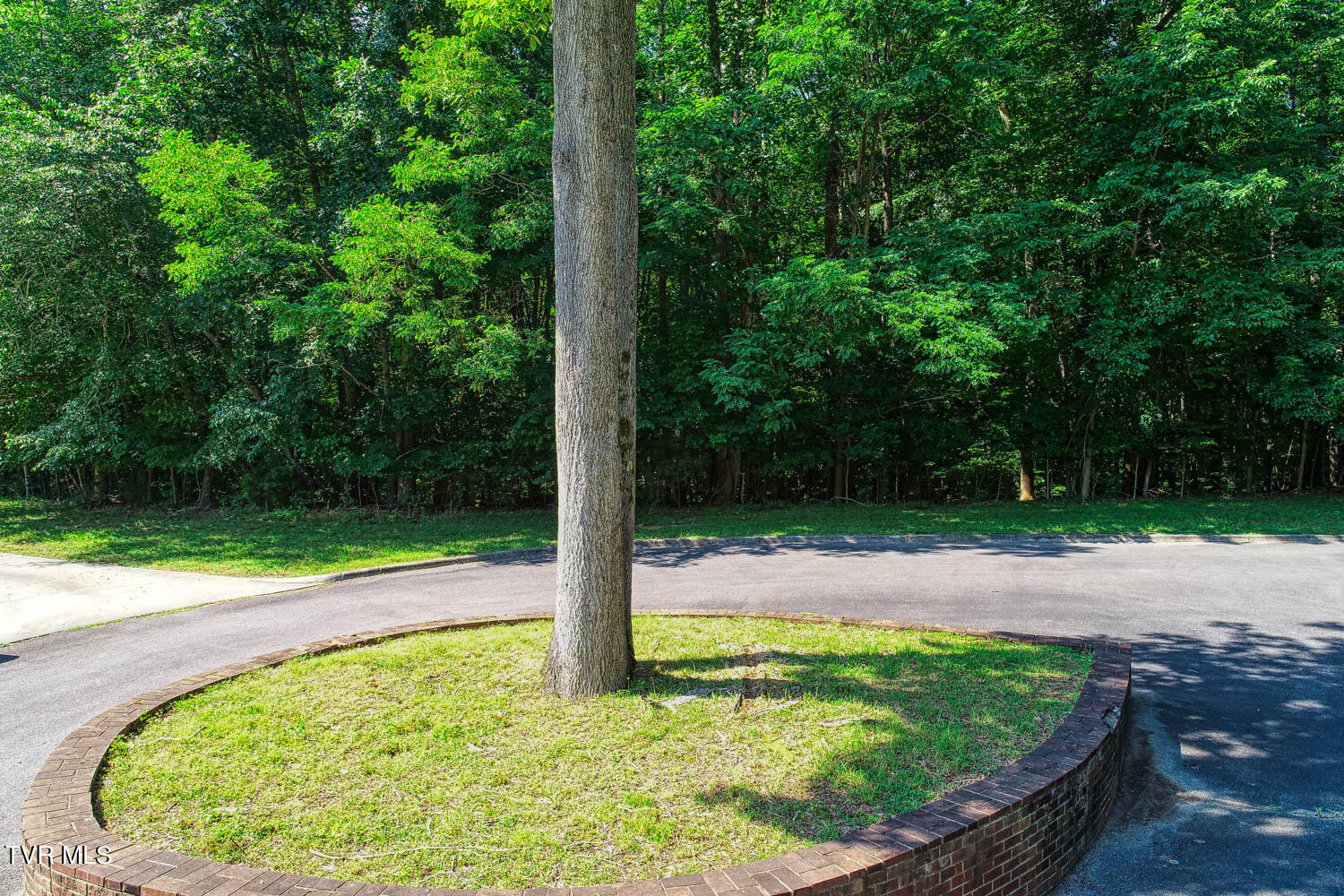 Lot 69 Brooks Pointe Drive, Rogersville, Tennessee image 15