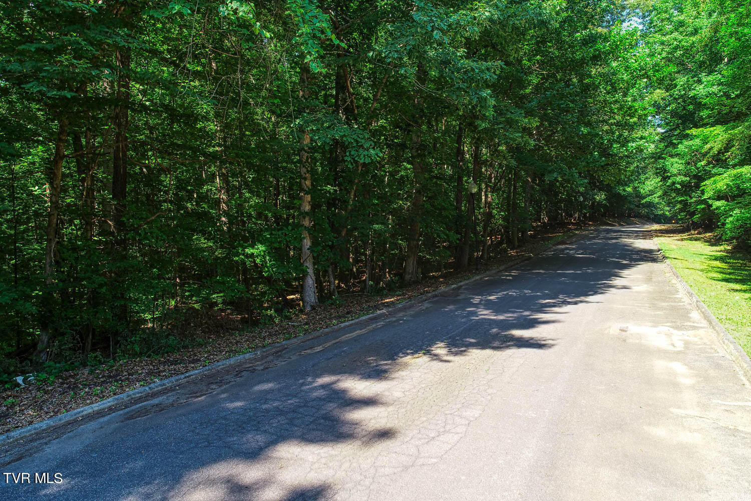 Lot 69 Brooks Pointe Drive, Rogersville, Tennessee image 33