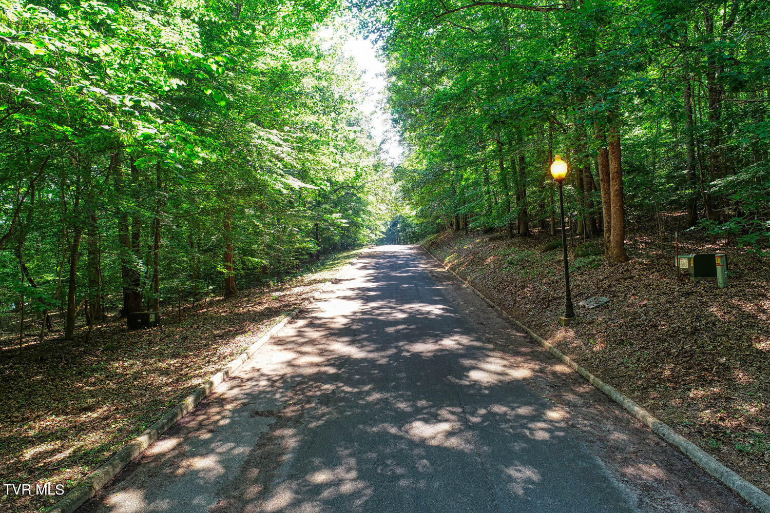 Lot 69 Brooks Pointe Drive, Rogersville, Tennessee image 37